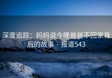 深度追踪：妈妈说今晚爸爸不回家背后的故事 · 报道543