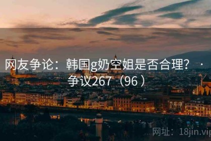 网友争论：韩国g奶空姐是否合理？ · 争议267（96 ）