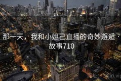那一天，我和小妲己直播的奇妙邂逅 · 故事710