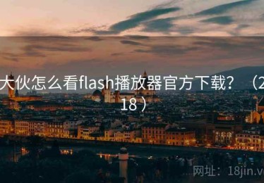 大伙怎么看flash播放器官方下载？（218 ）