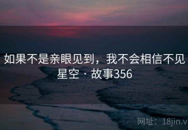 如果不是亲眼见到，我不会相信不见星空 · 故事356