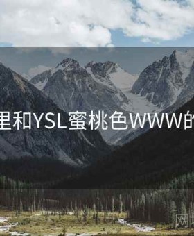 深夜里和YSL蜜桃色WWW的对话