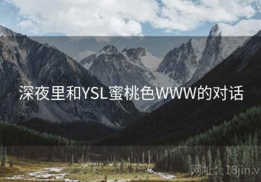 深夜里和YSL蜜桃色WWW的对话