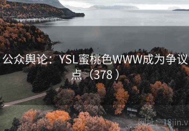 公众舆论：YSL蜜桃色WWW成为争议点（378 ）