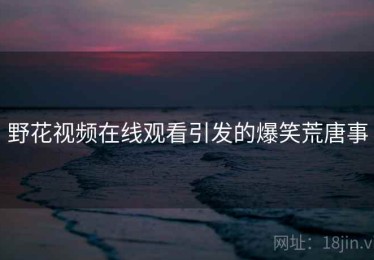 野花视频在线观看引发的爆笑荒唐事