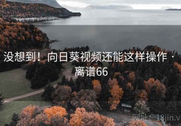 没想到！向日葵视频还能这样操作 · 离谱66