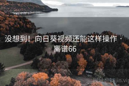 没想到！向日葵视频还能这样操作 · 离谱66