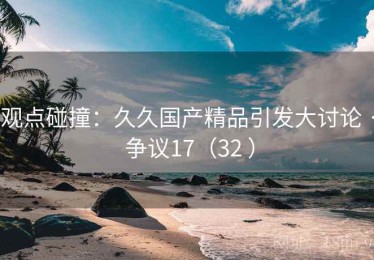 观点碰撞：久久国产精品引发大讨论 · 争议17（32 ）