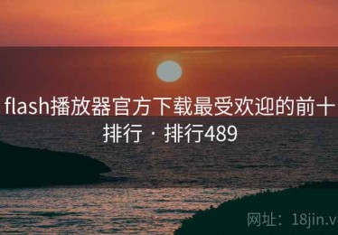 flash播放器官方下载最受欢迎的前十排行 · 排行489