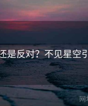 支持还是反对？不见星空引热议