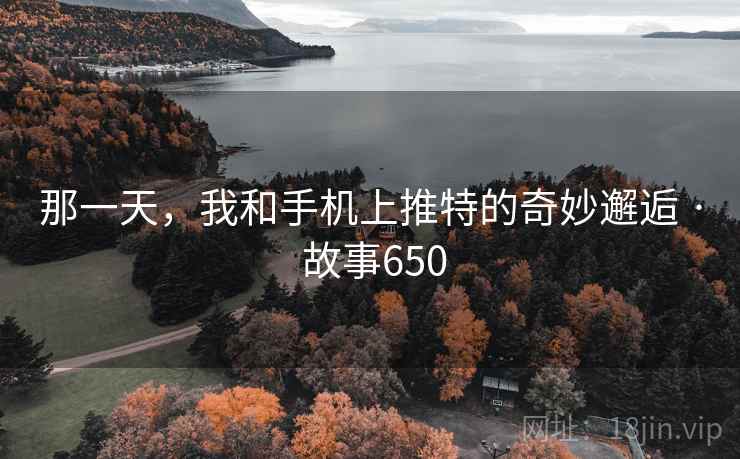 那一天，我和手机上推特的奇妙邂逅 · 故事650