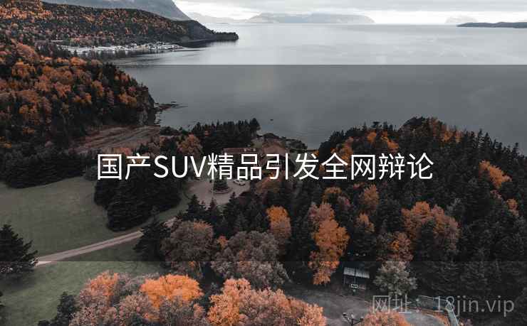 国产SUV精品引发全网辩论