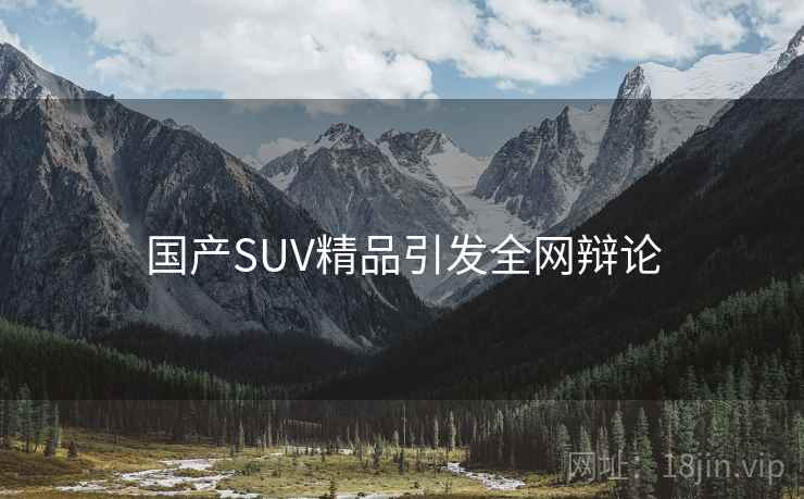 国产SUV精品引发全网辩论